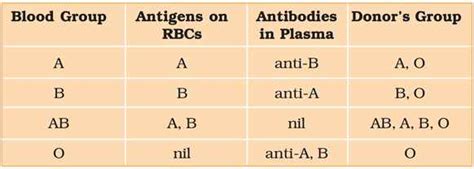 Blood Group Definition Abo And Rh Blood Group System Rajus Biology