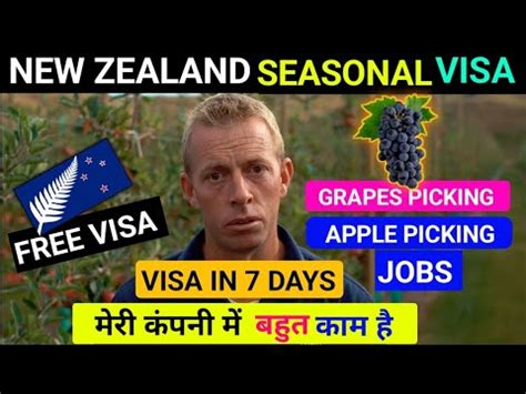 New Zealand Seasonal Visa In 7 Days Fruit Picking Job No Age