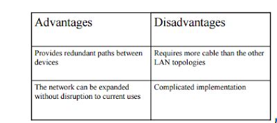 Network Topology Types