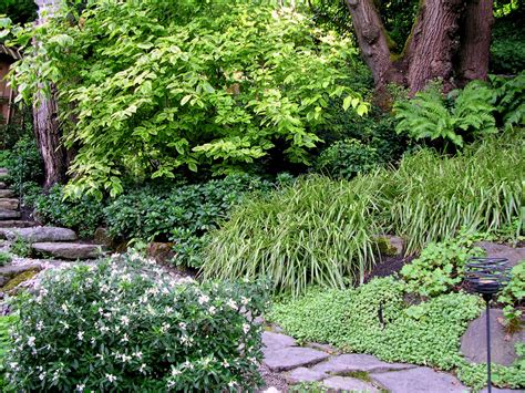 Portland Residential Landscape Design For Willamette Heights Plant Lovers