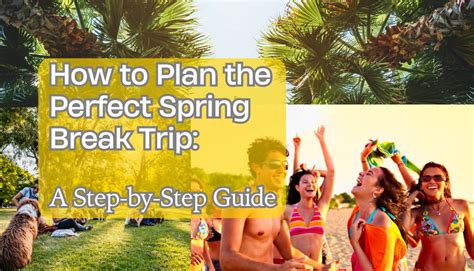 How To Plan The Perfect Spring Break Trip A Step By Step Guide Jamaica International Projects