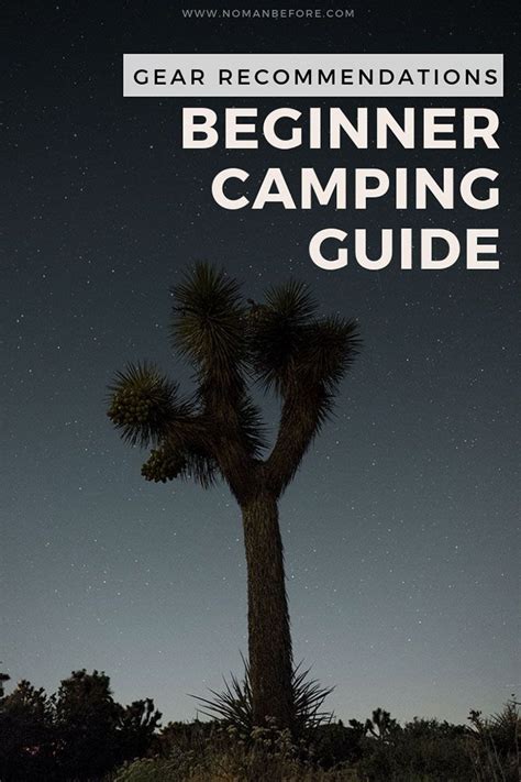 The Beginner's Guide to Camping Gear: 11 Things You Need | Camping essentials, Camping guide ...