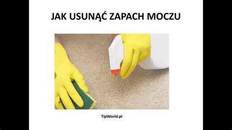 Jak Pozbyc Sie Zapachu Moczu Z Paneli