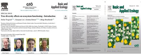 BEF-China | BEF-China 