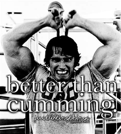 Arnold Schwarzenegger Pumping Iron Quotes. QuotesGram