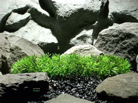 Silk Aquarium Plants - Silk Reptile Plants: Palm Leaves From Ron Beck Designs.