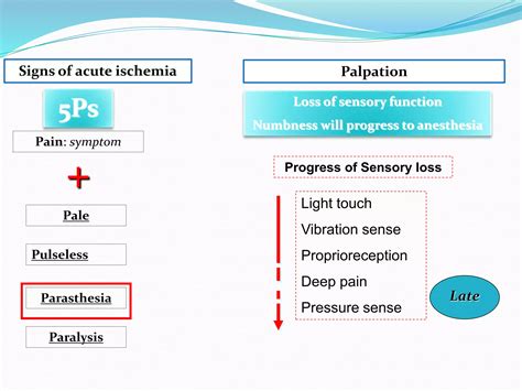 Acute Limb Ischemia Surgical Management Pptx