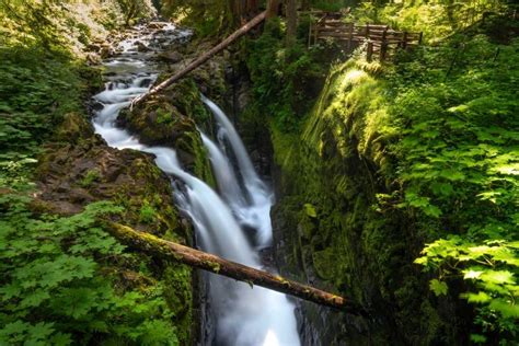 Ultimate Olympic National Park Photography Guide We Dream Of