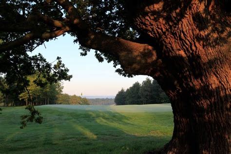 Palmerston Course, 11th Tee - Brocket Hall Golf Club, Brocket Hall ...