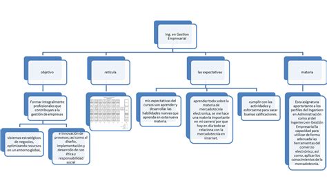 Mercadotecnia Electronica Mapa Conceptual