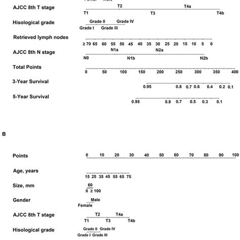 Nomograms Predicting Three And Five Year Overall Survival Os For Download Scientific