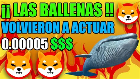 Ballenas De Shiba Inu Act An Fuerte Buen Momento Para Comprar Shiba