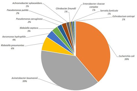 Frontiers Multidrug Resistant And Clinically Relevant Gram Negative