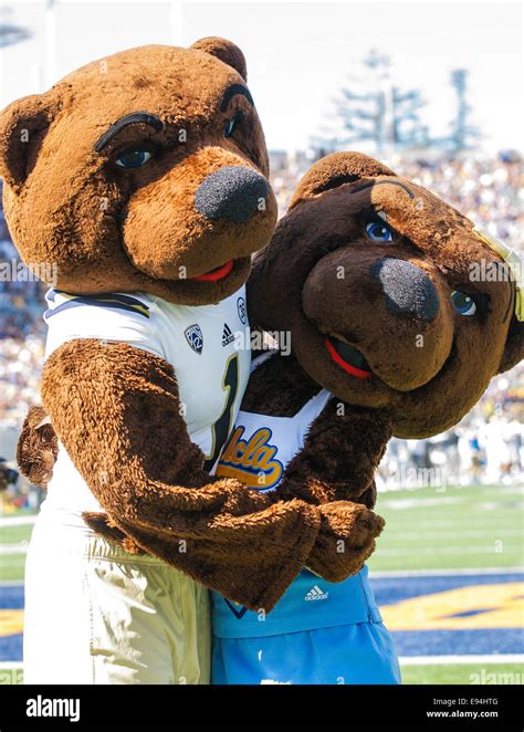 Ucla mascot hi-res stock photography and images - Alamy