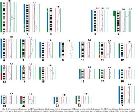 Figure From Comprehensive And Definitive Molecular Cytogenetic