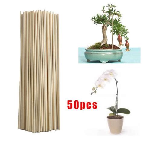 Tuteur lien attache Bâtons de Support en bois pour plantes en