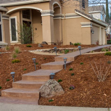 Creating The Perfect Drought Tolerant Landscape