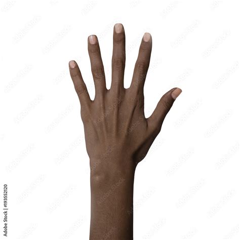 African American Black Hand Showing Five Fingers Gesture Isolated On