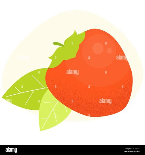 Kaki Leaf Stock Vector Images Alamy