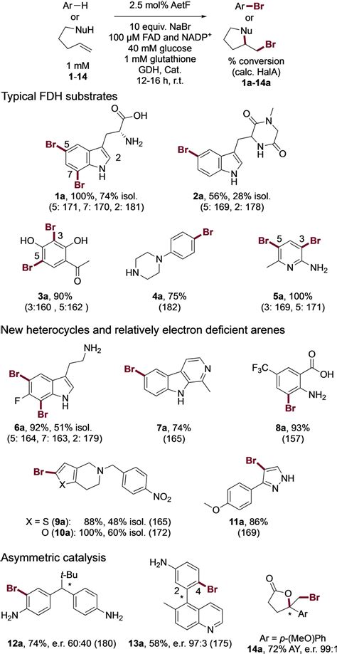 The Single‐component Flavin Reductaseflavin‐dependent Halogenase Aetf Is A Versatile Catalyst