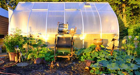 Summer Greenhouse What Should I Grow In It Climapod