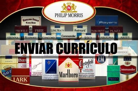 Vagas Abertas Philip Morris 2022 TRABALHE CONOSCO IEF Notícias