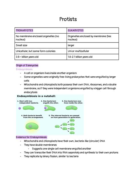 Protists Protists Prokaryotes Eukaryotes No Membrane Enclosed Organelles No Nucleus