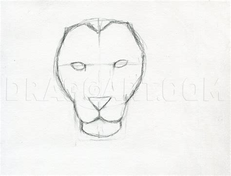 How To Sketch A Lion, Step by Step, Drawing Guide, by finalprodigy ...