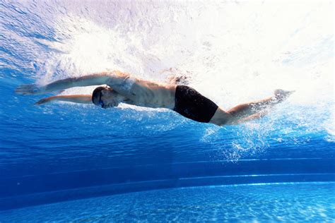 Butterfly Stroke Technique: How to Dolphin Kick