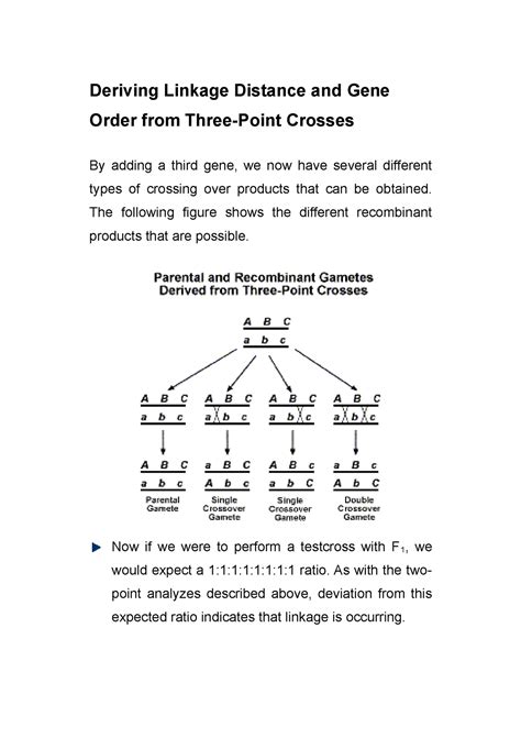 Deriving Linkage Distance And Gene Order From Three Point Crosses The Following Figure Shows