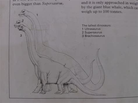 Ultrasaurus Size Comparison