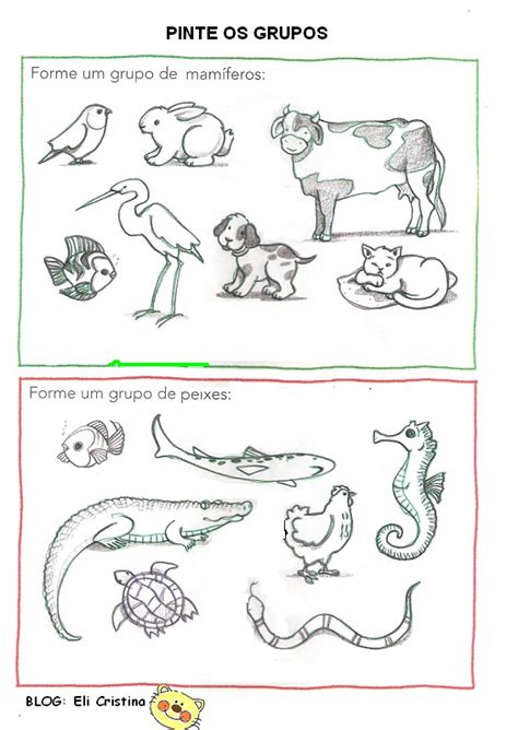 Animais AquÁticos E Terrestres Atividades ExercÍcios Desenhos Colorir Imprimir Ii Portal Escola