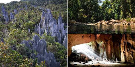 Scenic National Parks Found In Malaysia Johor Now