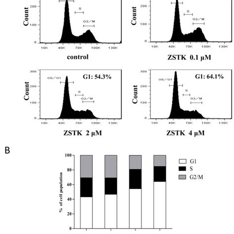 Effect Of Zstk474 On Cell Cycle Distribution In Mcf 7 Cells A Mcf 7 Download Scientific