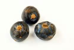 Juniper Essential Oil. Discover Its properties And Uses In Aromatherapy.