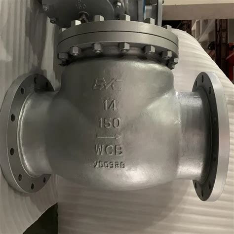 12 Inch Stainless Steel CF8 Swing Flange Check Valve RF Class150 Wcb