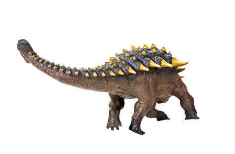 Ankylosaurus Dinosaur Isolated Background Png