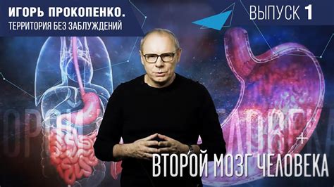 ВТОРОЙ МОЗГ ЧЕЛОВЕКА! Территория без заблуждений. 1 выпуск - YouTube
