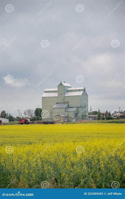 Old Wheat Pool Grain Elevator Trochu Editorial Stock Photo Image Of