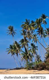 16,322 Terengganu Beaches Images, Stock Photos, 3D objects, & Vectors | Shutterstock