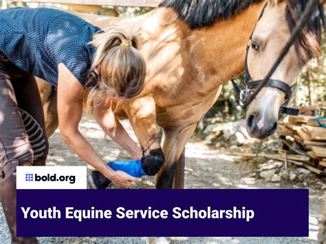 Youth Equine Service Scholarship Bold Org