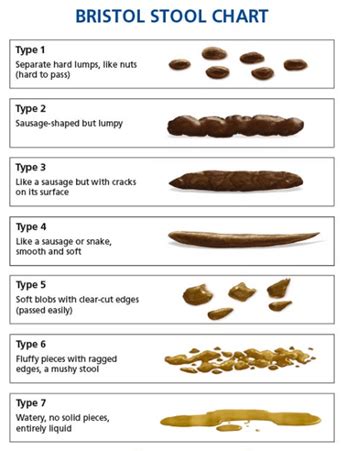 Fecal Analysis Flashcards | Quizlet