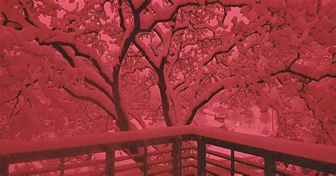 Red Snowy Morning Imgur