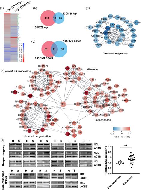 Bioinformatic Analysis Of Deps In Ocs In The Response Group Patients