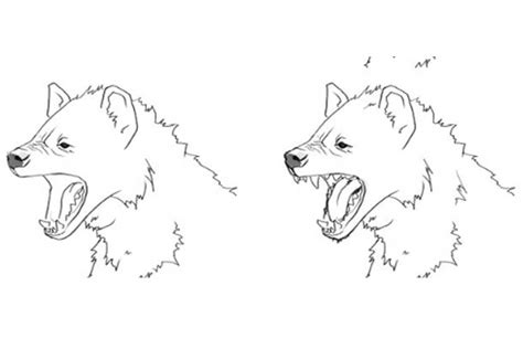 Hyena Drawing: Step By Step, Easy, Cute and Head