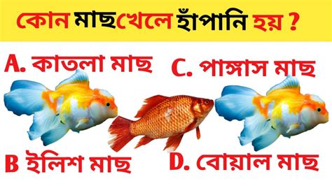 কোন মাছ খেলে হাঁপানি হয় Bangla Gk Question And Answerbangla Gk