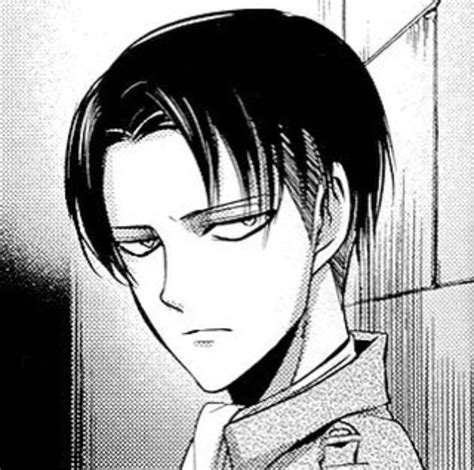 attack  titan levi manga