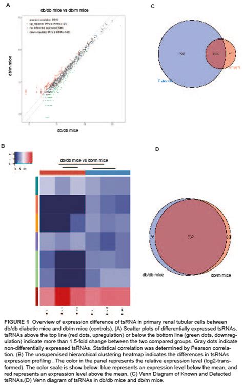 Wcn Novel Insights Differentially Expressed Tsrnas Modulate The