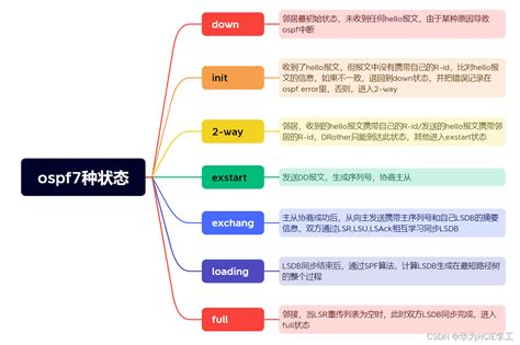 Ospf Csdn