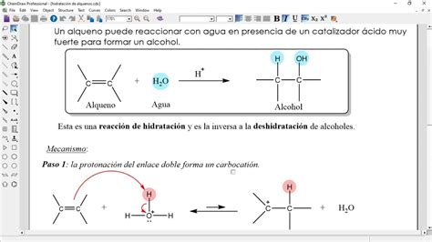 Hidrataci N De Alquenos Mecanismo De Reacci N Re Ordenamiento Del